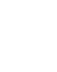 logo Summertide