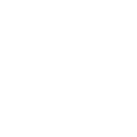 logo Hot Fuss